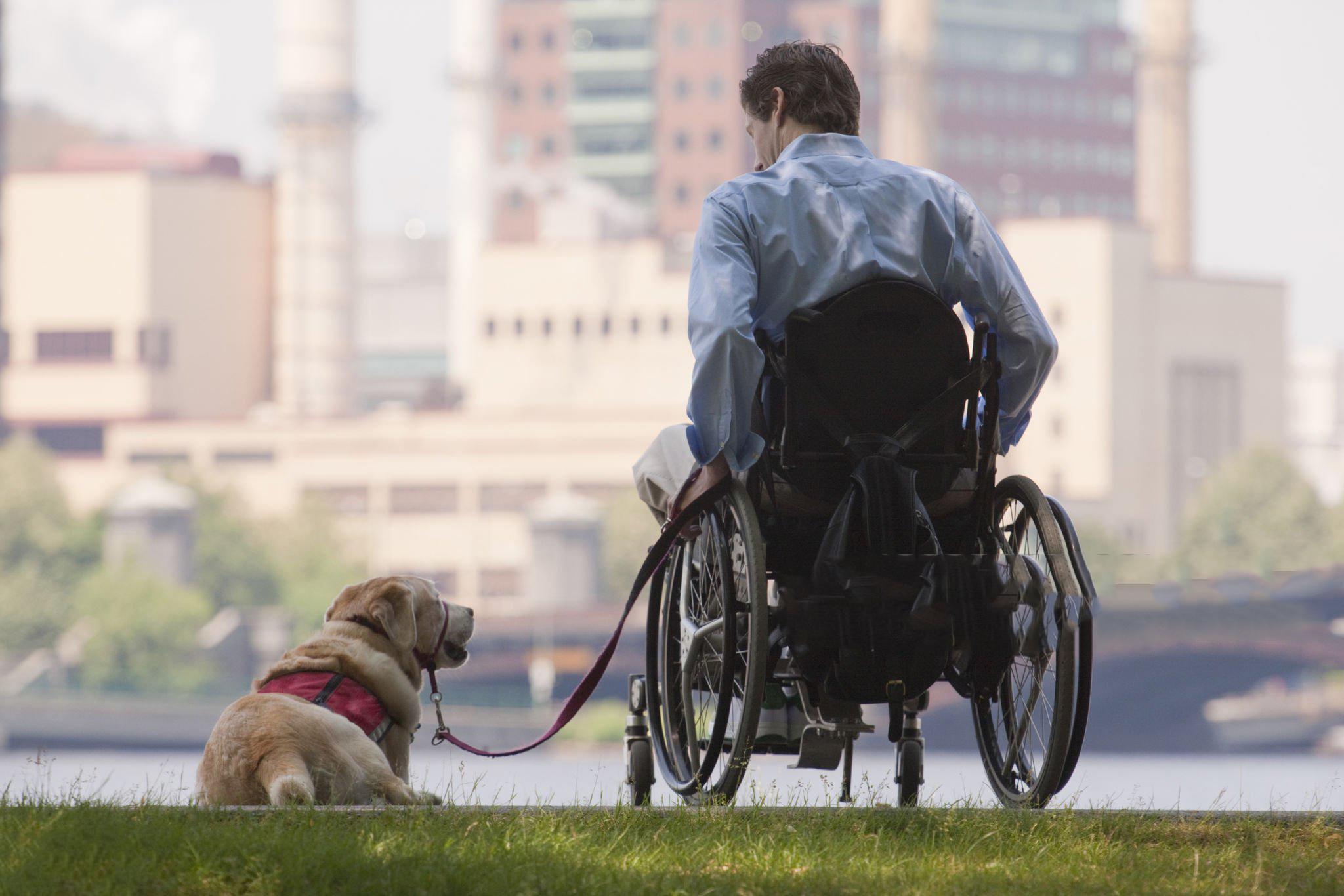 سگ های خدماتی، همراه وفادار معلولین
