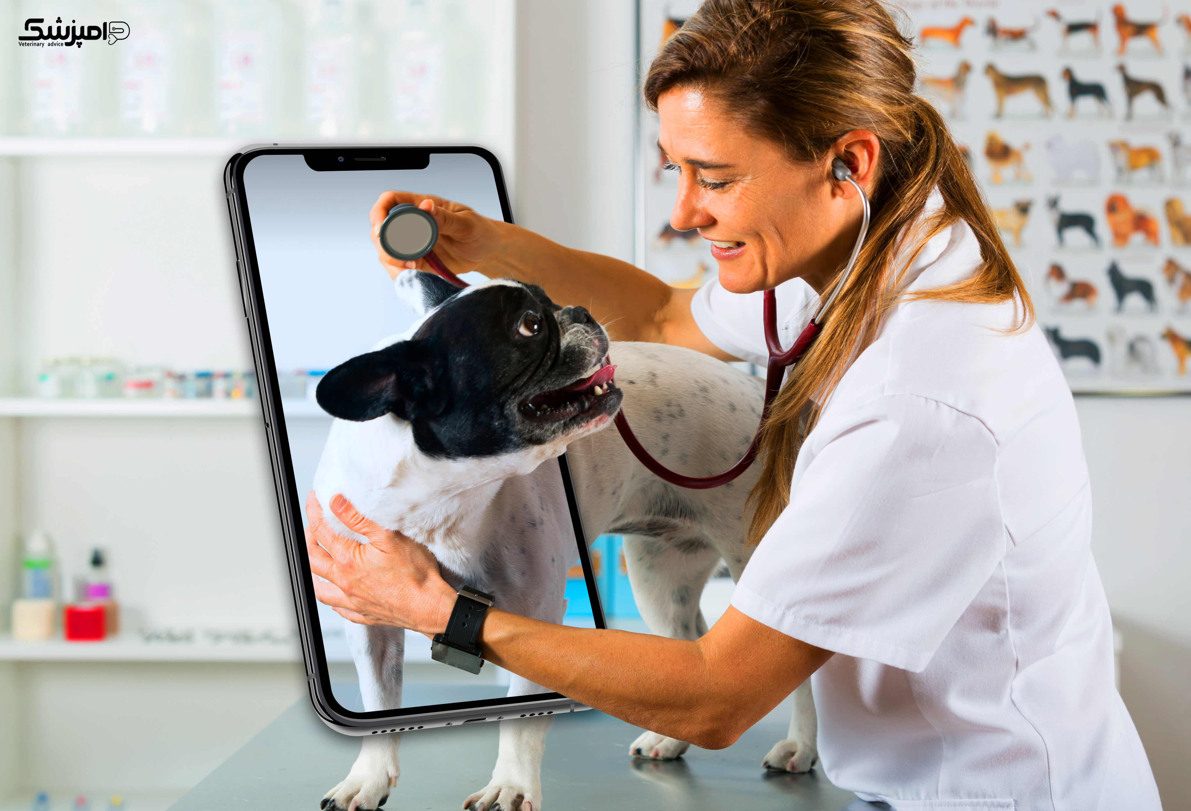 تله مدیسین برای کمک به حیوانات خانگی 