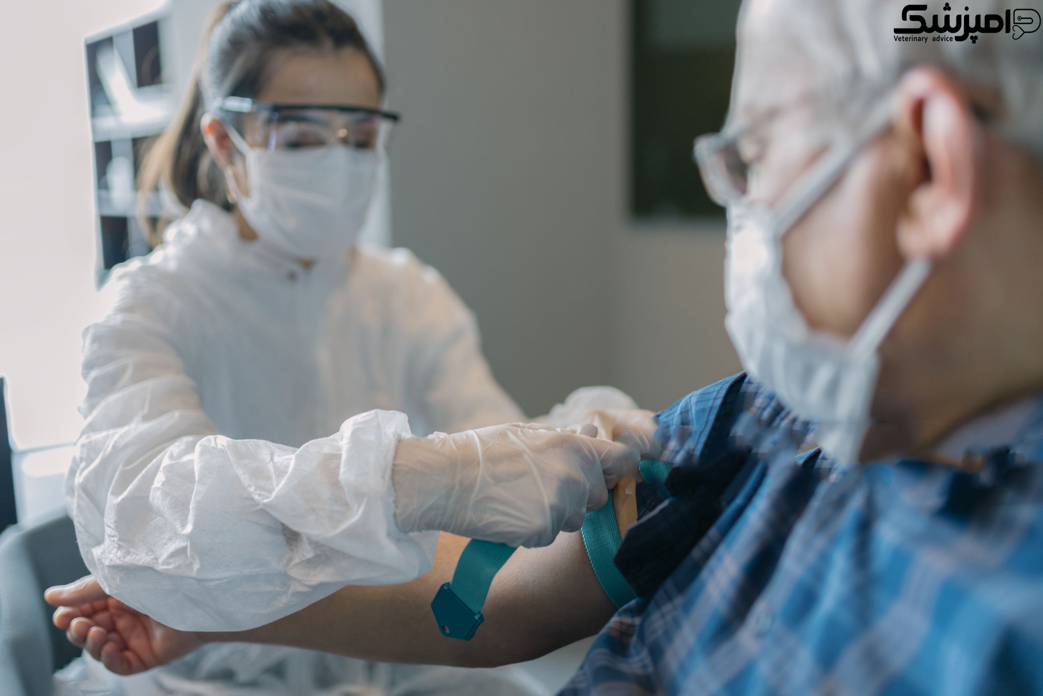 حضور دامپزشکان آمریکایی در اجرای عملیات واکسیناسیون بر علیه کووید۱۹
